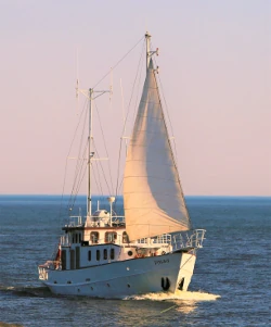 Jahta Palsa